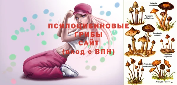 МДМА Надым