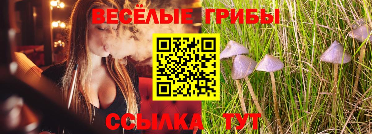 Псилоцибиновые грибы GOLDEN TEACHER Кудымкар