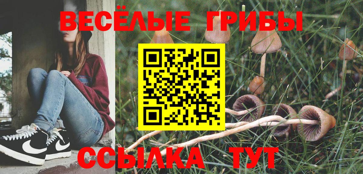 Галлюциногенные грибы GOLDEN TEACHER Кудымкар